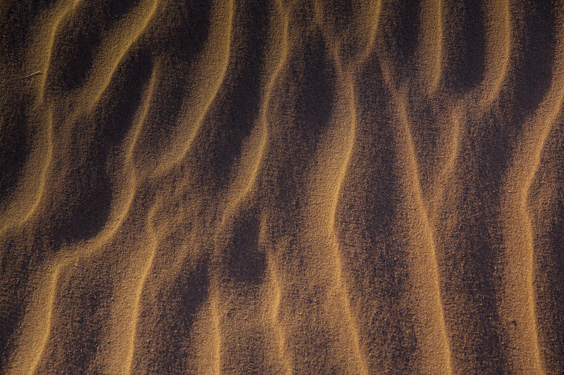 softness, luxury, nature, wave, rippled, close-up, crumpled, backgrounds, tranquility, ornament, textured effect, textile, beauty in nature, animal, desert
