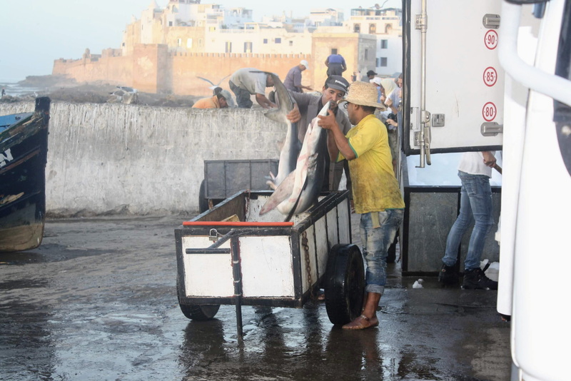 transportation, city, two people, fishmarket, day, harbour, marokko, 2K, real people, built structure, morocco, full length, fish, outdoors, adult, rain