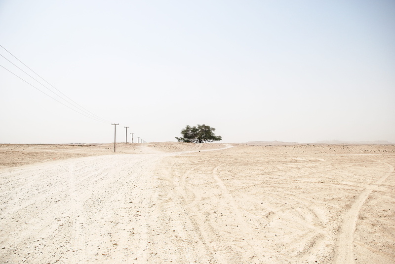 scenics - nature, environment, land, power supply, clear sky, plant, landscape, copy space, day, barren, cable, outdoors, sand, nature, desert, 4K, sky