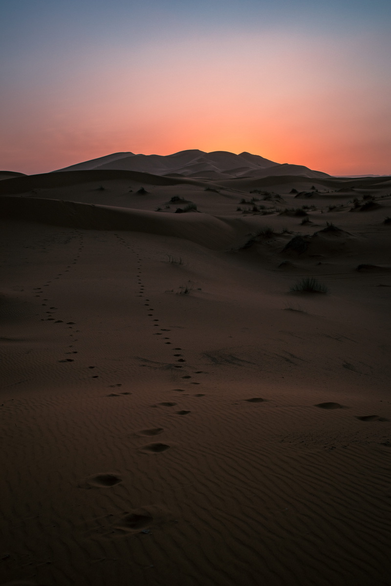 wander, atmospheric, orange color, sand, explore, land, golden, wanderlust, tranquility, sunset, beauty in nature, africa, journey, desert, climate