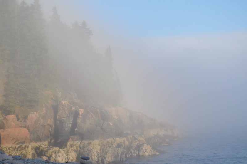 land, day, tree, no people, sky, tranquility, non-urban scene, granite, acadia, compass harbor, beauty in nature, nature, beach, haze, remote, maine, water