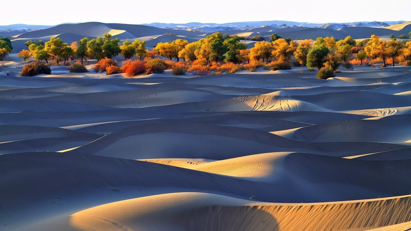 tranquil scene, 1080P, sunlight, tree, land, mountain, dune, travel destinations, tranquility, no people, scenics - nature, beauty in nature, mountain range