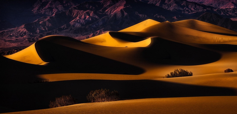 no people, non-urban scene, nature, desert, geology, trees, sand dune, 720P, tranquility, land, beauty in nature, yellow, landscape, travel destinations
