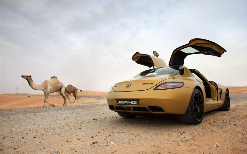 2010, desert, mercedes, mercedes benz, sls, benz, amg, gold, 1080P