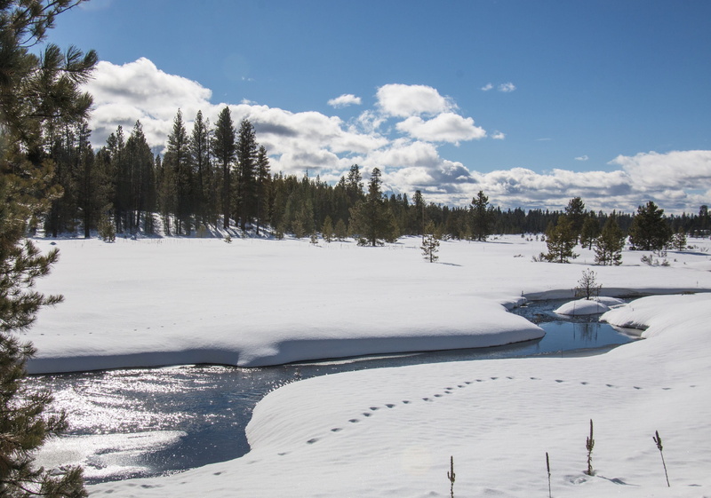 snowcapped mountain, landscape, winter, sunlight, snow, tumalo creek, covering, non-urban scene, tranquility, no people, cold, sky, outdoors, day, pine tree