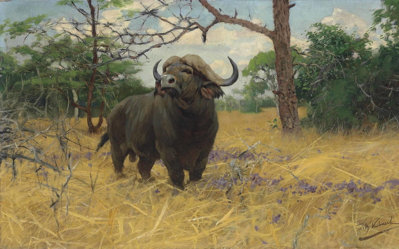 A Kaffir buffalo in Savannah, domestic animals, animal wildlife, German painter, nature, Friedrich Wilhelm Kunert, one animal, outdoors, day, herbivorous