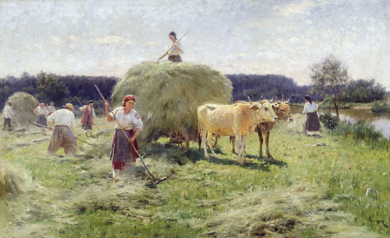 vertebrate, livestock, grass, 1080P, one person, picture, domestic, lifestyles, Nikolai Pimonenko, field, herbivorous, plant, cattle, farmer, men, canvas