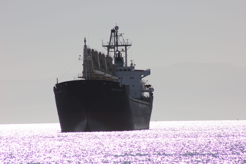 outdoors, transportation, 5K, journey, water, studio shot, moored, purple, sea, supply chain, trip, ship, container, fisher, industry, magic, flower, middle east
