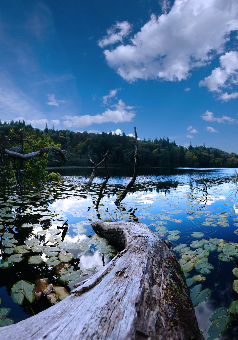 mull, 8K, tranquil scene, loch, reflection, scotland, summer, landscape, water, plant, driftwood, solid, highlands, cloud - sky, wood - material, isle