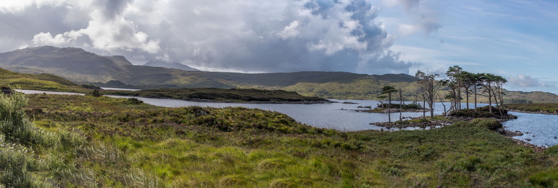 environment, plant, scottish, scotland, outdoors, grass, atmospheric, landscape, 8K, no people, lake, lagoon, highlands, travel destinations, mountain