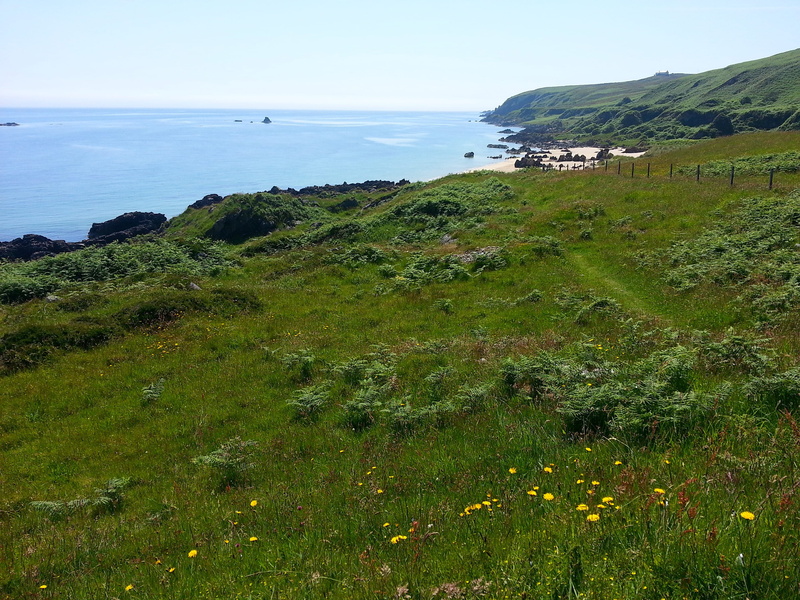 Scotland, beautiful, land, island, water, sea, non-urban scene, growth, Island, islay, day, coastline, sky, beach, grass, scenics - nature, beauty in nature