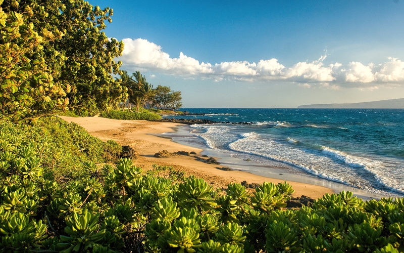 sea, isl, paradise, maui, polo, background, s, desktop, 2K, hawaii, beach