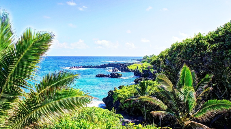 beauty in nature, horizon, palm leaf, tropical water tropical forest hawaii isle of maui maui palm trees beach waterfall, sea, no people, 4K, nature, outdoors