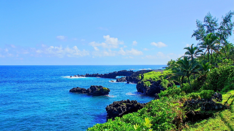 Tropical Forest, Isle of Maui, 4K, Maui, Palm Trees, Tropical water, Hawaii, waterfall, beach