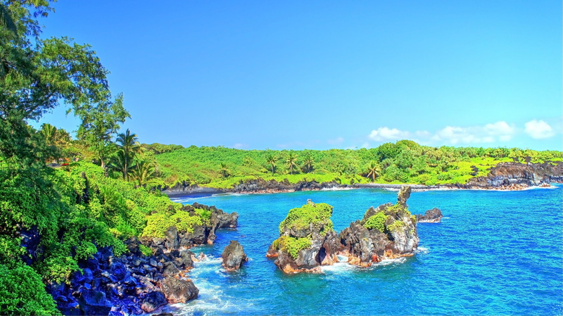 Maui, Tropical water, 4K, Tropical Forest, beach, Hawaii, Palm Trees, waterfall, Isle of Maui