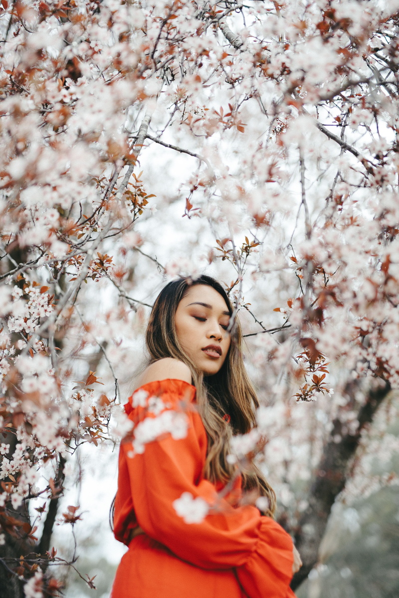 beautiful woman, woman, cherry blossom, branch, portrait, japan, hairstyle, face, blossom, real people, women, nature, 4K, asian, cherry, springtime, standing