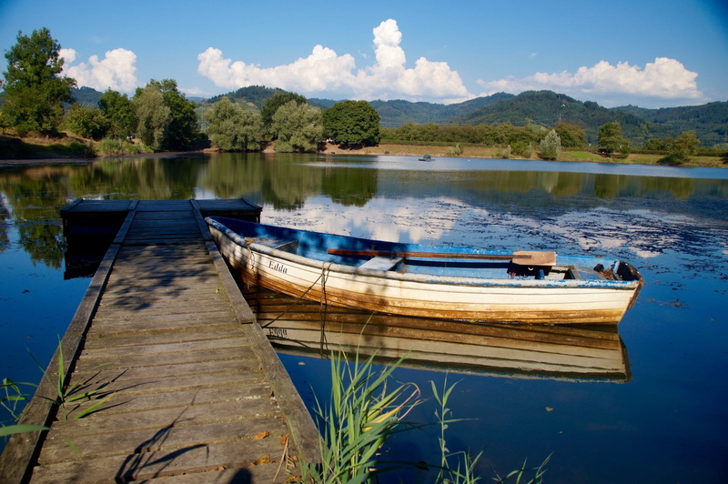 moored, no people, nature, silent, day, trees, scenics - nature, lakeside, Kahn, rowing, blue, fish, Water, rowboat, transportation, 1080P, summer, body