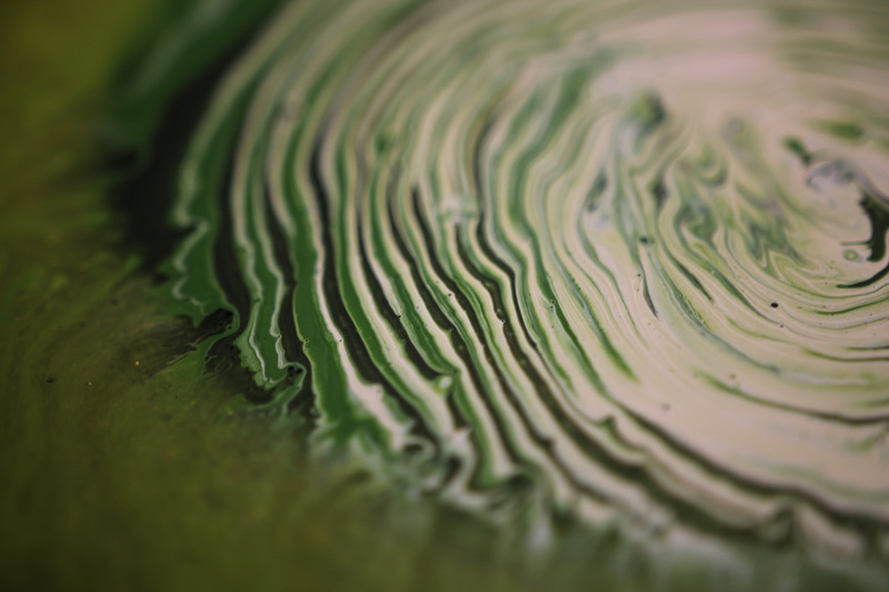 movement, nature, beauty, pattern, beauty in nature, creative, united states, organic, abstract, biology, selective focus, experiment, creativity, 5K
