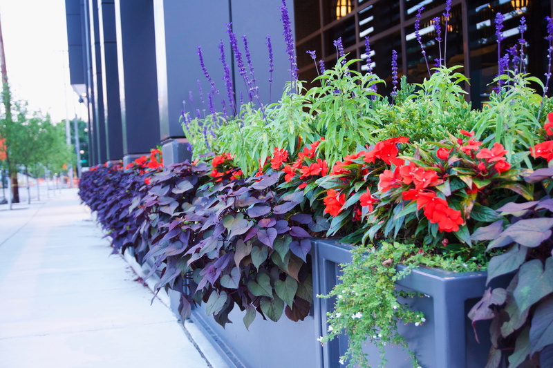 plants, grand rapids, growth, flowers, flower pot, orange, flowering plant, architecture, city, no people, freshness, flower arrangement, bouquet, plant part