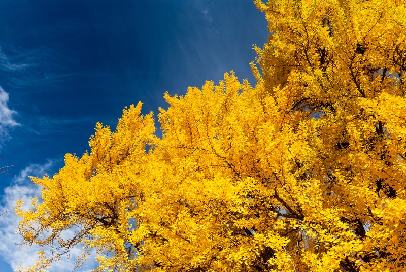 beautiful, district, tranquil scene, nature, cloud, orange color, beauty in nature, outdoor, sky, united, america, change, famous, historic, autumn, nobody