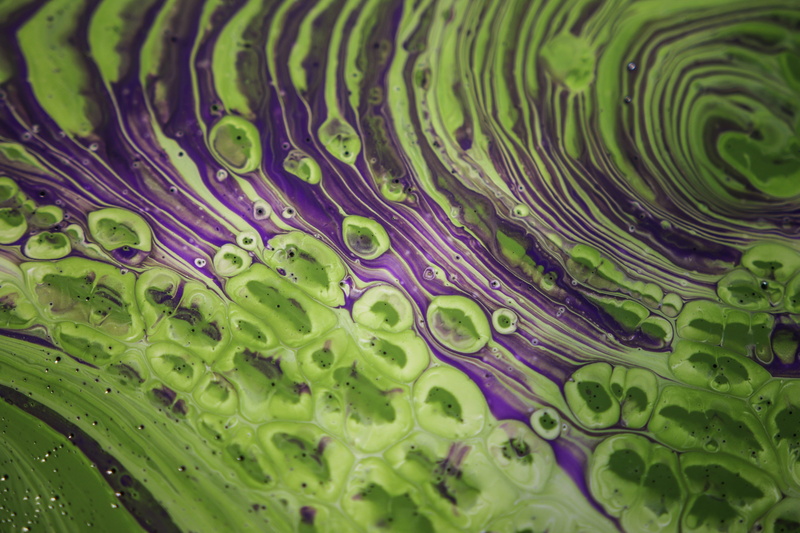 experimentation, magnification, colorful, no people, intense, full frame, pattern, education, abstract, plant part, indoors, organic, movement, experiment