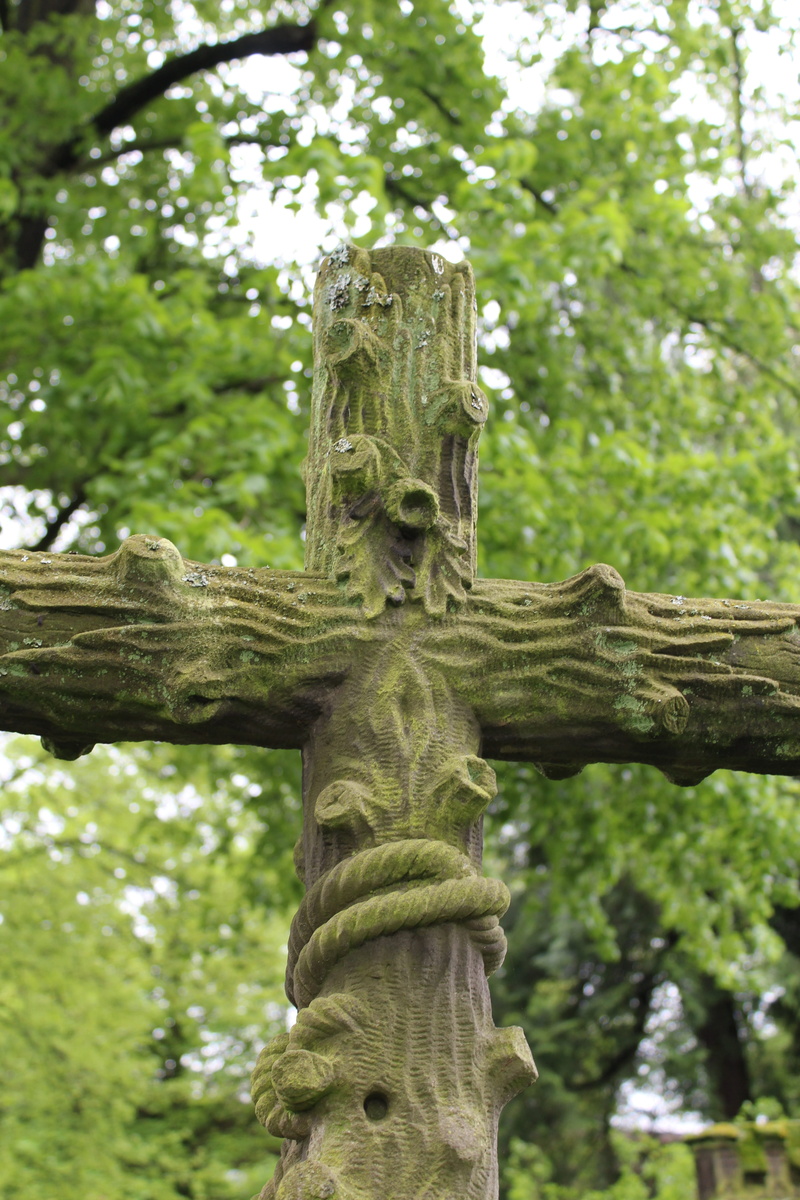 outdoors, crucified, spirituality, forest, cross, plant, moss, tree, stone, nature, belief, trunk, focus on foreground, low angle view, day, crucifix, branch