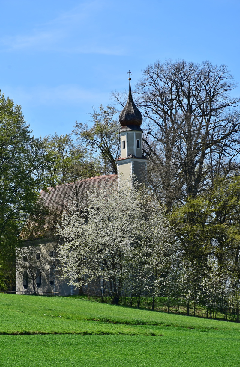 plant, cathedral, surrounded, clouds, landscape tree, places of interest, stone wall, history, building exterior, spirituality, christianity, built structure