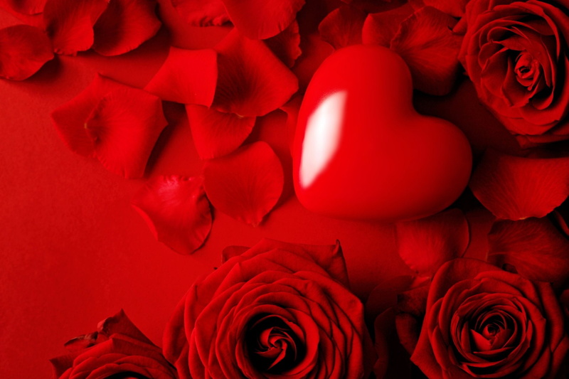 Flower, Heart, 1080P, Red Rose, Red Flower, Flowers, Love, Rose