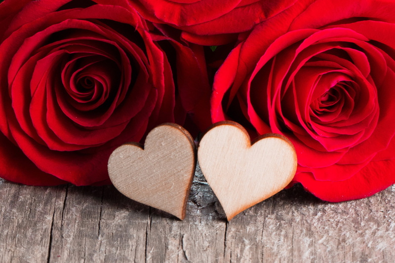 Photography, Red Flower, Flower, Red Rose, Heart, 2K, Love