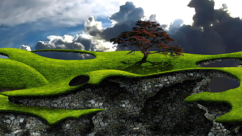 plant, trees, tree trunk, beauty in nature, scene, grass, outside, environment, park, garden, tranquil scene, fields, summer, season, cloud - sky, nature