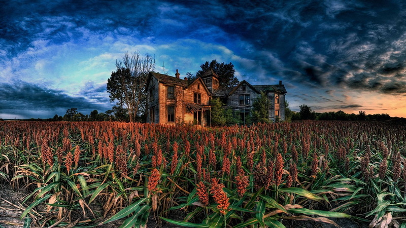 landscape, clouds, natural, water, barn, hill, scene, grass, residential district, building, countryside, history, plant, meadow, farm, nature, scenery