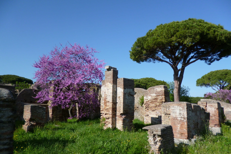 growth, clear sky, old, blue, historically, rhaeto romanic, Ostia Antica, sky, ruined, land, History, ancient, roman, nature, plant, tree, field, ancient times