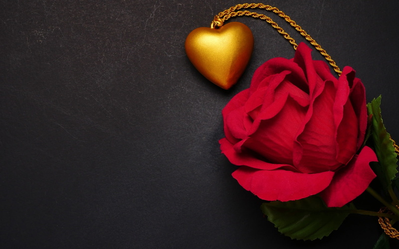 petal, inflorescence, flowering plant, :-), plant, freshness, copy space, studio shot, no people, jewel, beauty in nature, black background, pendant, fragility