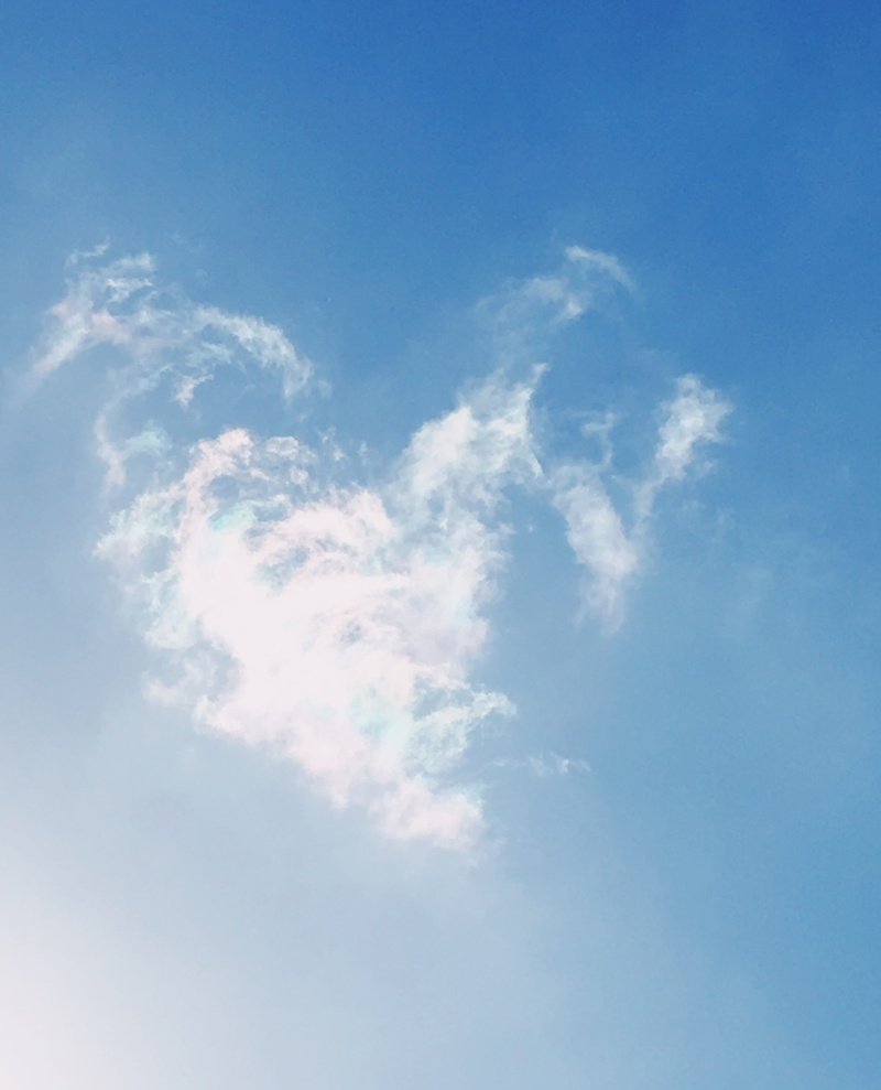 nature, tranquility, meteorology, backgrounds, 30001 golden lantern, white, sky, scenics - nature, softness, clouds, united states, cloudscape, wind, environment