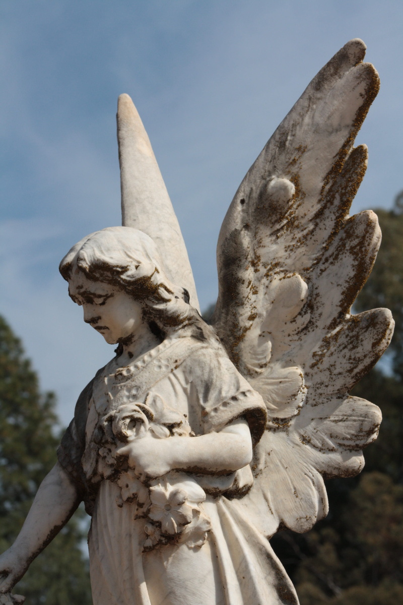 cemetery, no people, statue, heaven, symbol, burial, day, sadness, grief, angel, candle, catholic, female likeness, craft, grave, spirituality, death, cross