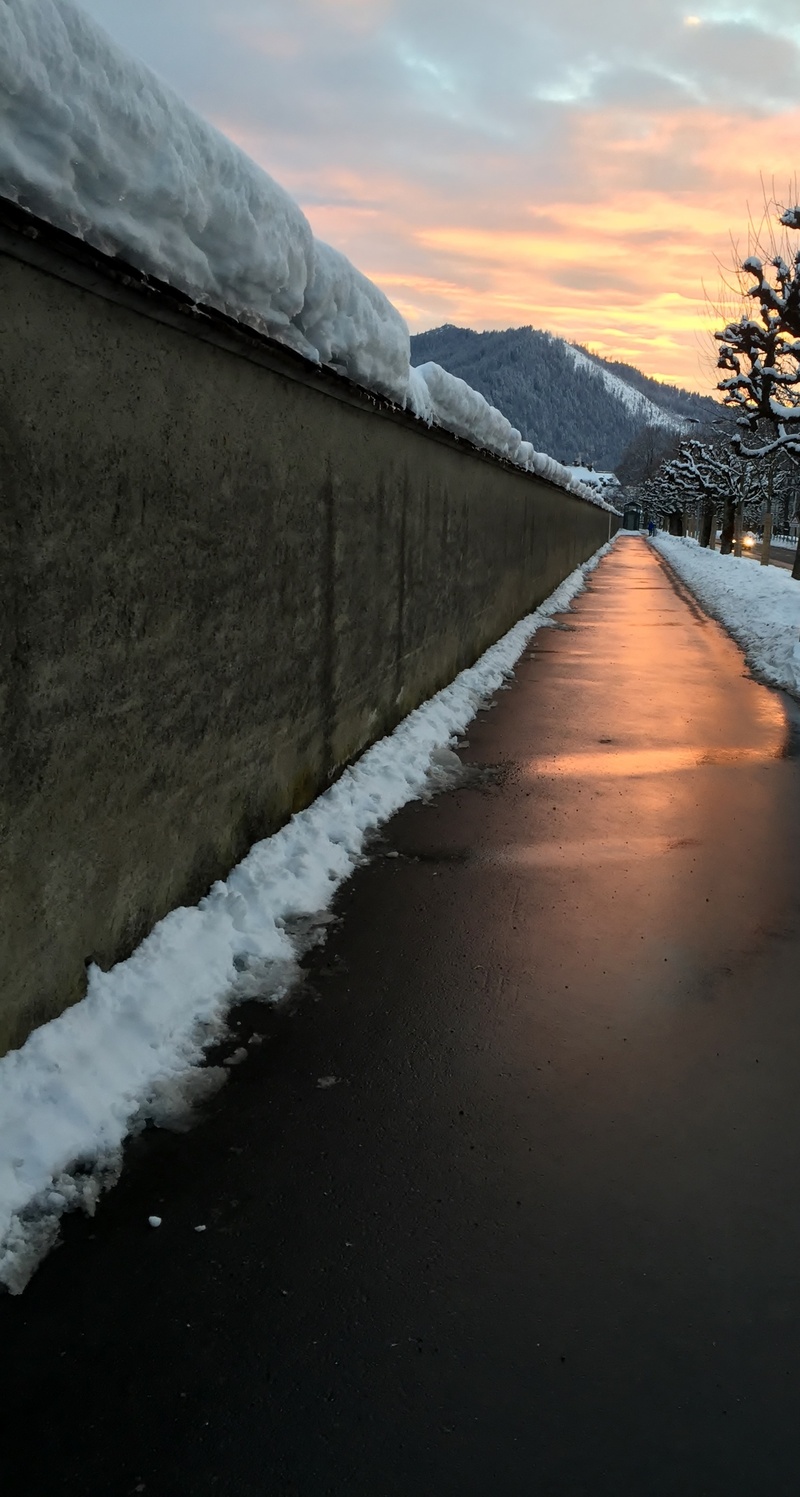 diminishing perspective, plane trees, 2K, pavement, nature, water, winter, outdoors, sidewalk, snow, einsiedeln, scenics - nature, sunset, switzerland