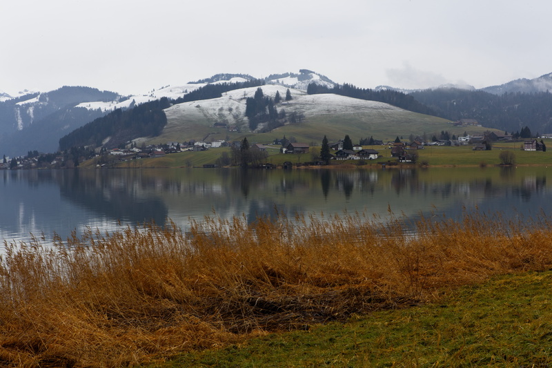 fir, cold temperature, beauty in nature, sihlsee, switzerland, reflection lake, mountain range, einsiedeln, tree, countryside, outdoors, reflection, human