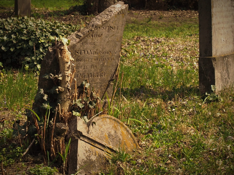 stone, Sorry, solid, outdoors, communication, no People, land, rural Scene, agriculture, Cemetery, devil, plant, nature, broken, wood - material, day, reaper