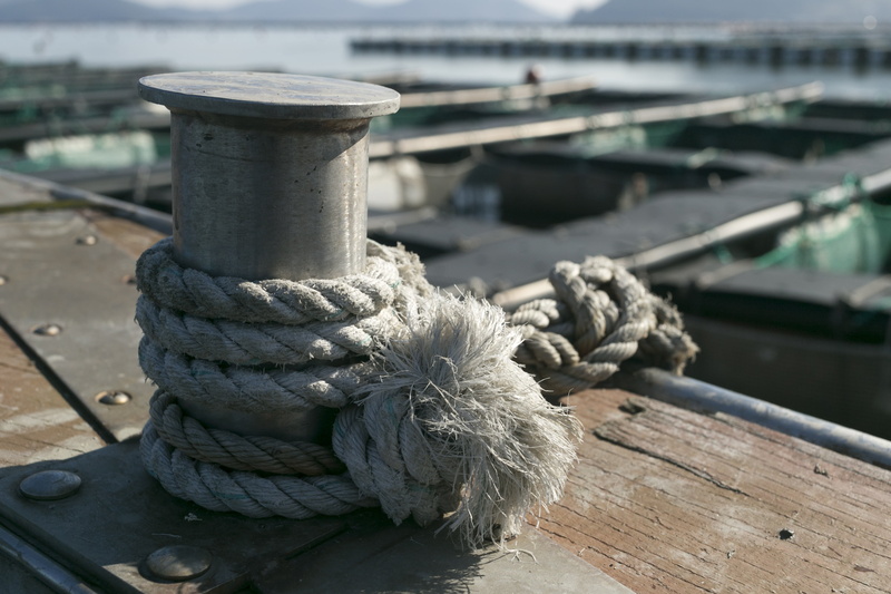 dock, harbor, day, strength, pier, fishery, pin, 4K, tied up, outdoors, control, mode of transportation, nautical equipment, port, ship, wood - material