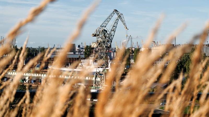 growth, environment, gdańsk, field, nature, poland, landscape, wheat, water, 4K, land, outdoors, selective focus, cereal plant, european solidarity centre