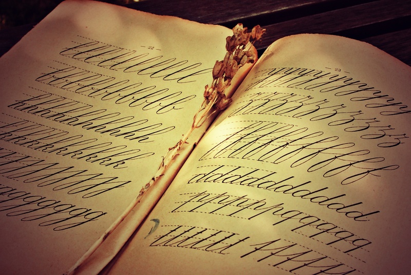 indoors, 1080P, open, page, no people, open book, education, communication, book, plant part, example, old book, pattern, close-up, withered, handwriting