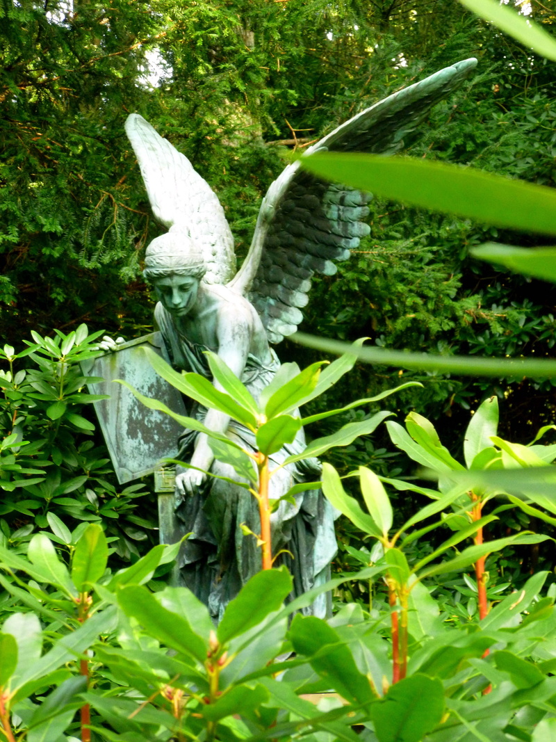 freshness, faith, close-up, divine beings, growth, no people, mood, fragility, beautiful, leaf, 4K, green nature, vegetable, angel figure, day, symbol
