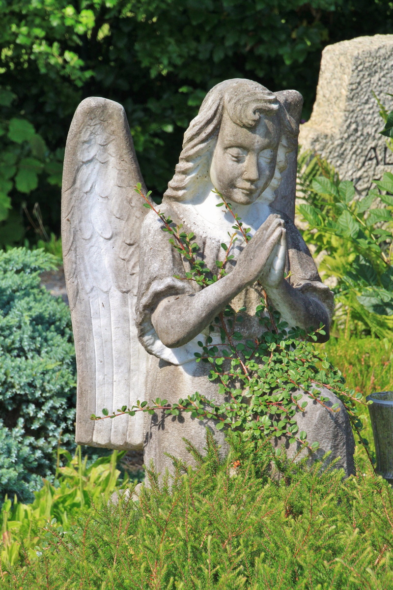 wing, christianity, park - man made space, day, growth, memorial, craft, outdoors, Cemetery, tombstone, faith, angel figure, climber, park, still image