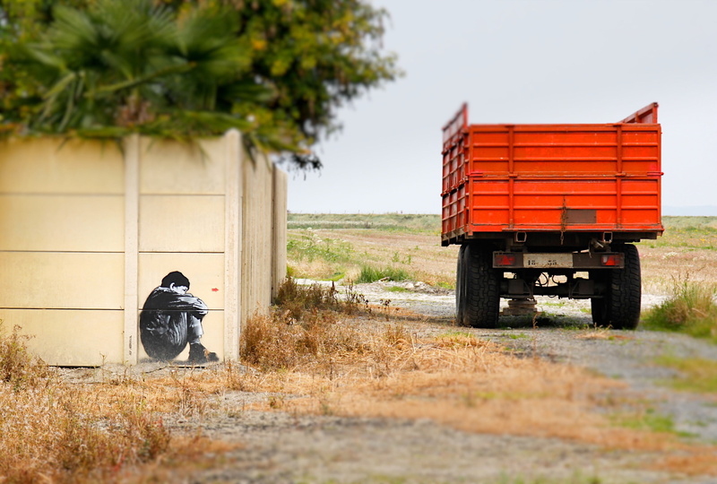loneliness, animal themes, dropside, bird, person, 2K, land, plant, lonely, landscape, agriculture, alone, one animal, sadness, tree, animals in the wild
