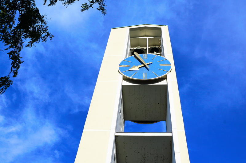 luck, tree, hobby, no people, sky, love, roman, pentecost, tower, clear sky, church, celebration, 5K, clock face, low angle view, clock, built structure