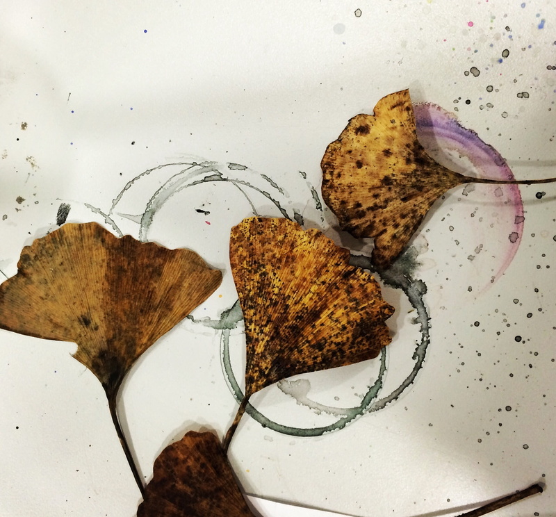 plate, serving size, 1080P, directly above, indulgence, baked, no people, goethe, farbkleckse, still life, food and drink, indoors, ready-to-eat, dty leaves