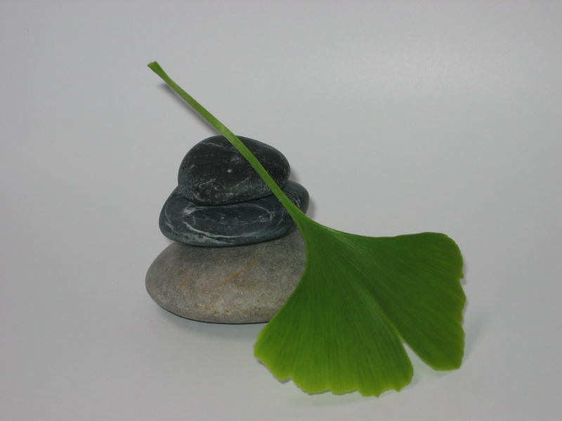 beauty in nature, gingko, studio shot, food and drink, leaf, water, indoors, zen, nature, leaves, copy space, white background, 1080P, green color, close-up