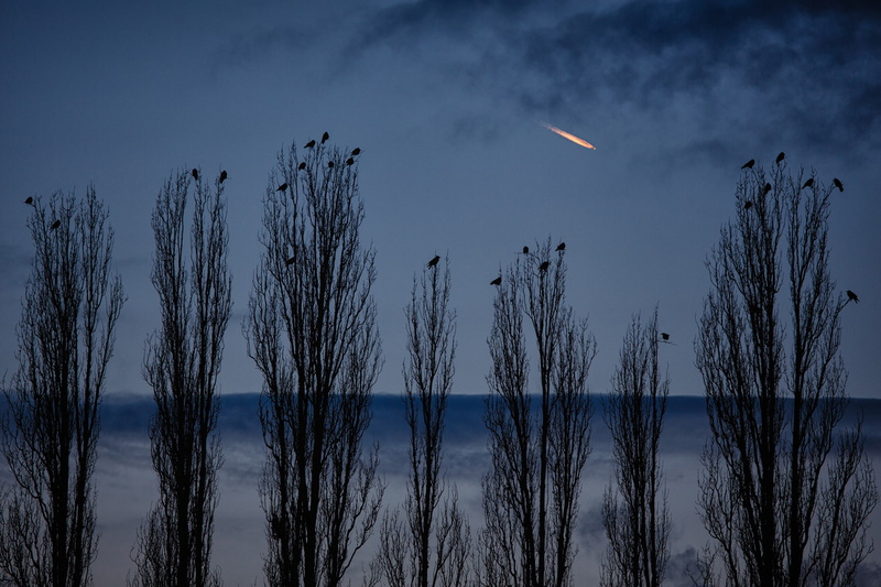 Germany, the evening, nature, the sky, 1080P, poplar, Cornelli2010 Photography, the plane, Berlin, crows