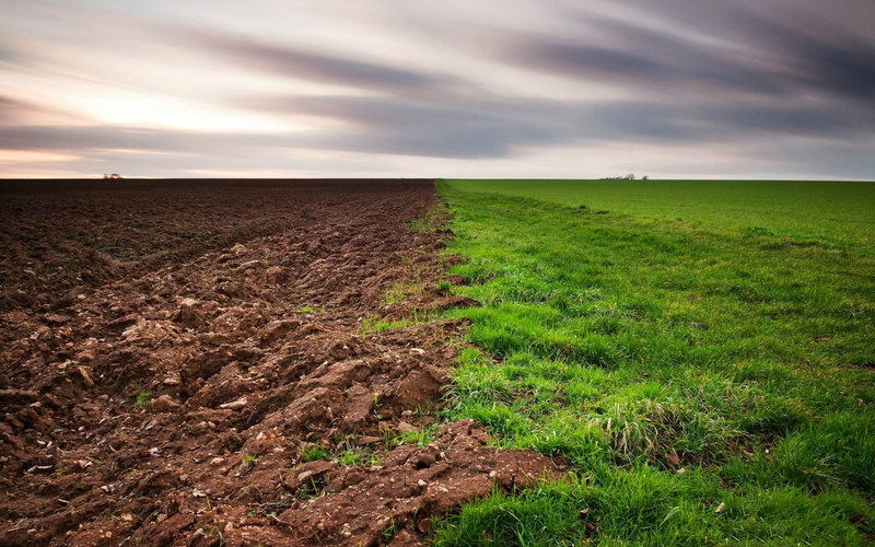 clouds, landscape, grass, green, brown, 1080P, dirt, field