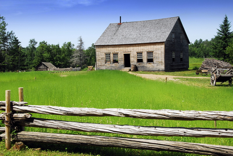 tree, architecture, old, color Image, built structure, grass, wood - Material, rural Scene, 4K, sky, Scene, agricultural building, fence, Rural, outdoors